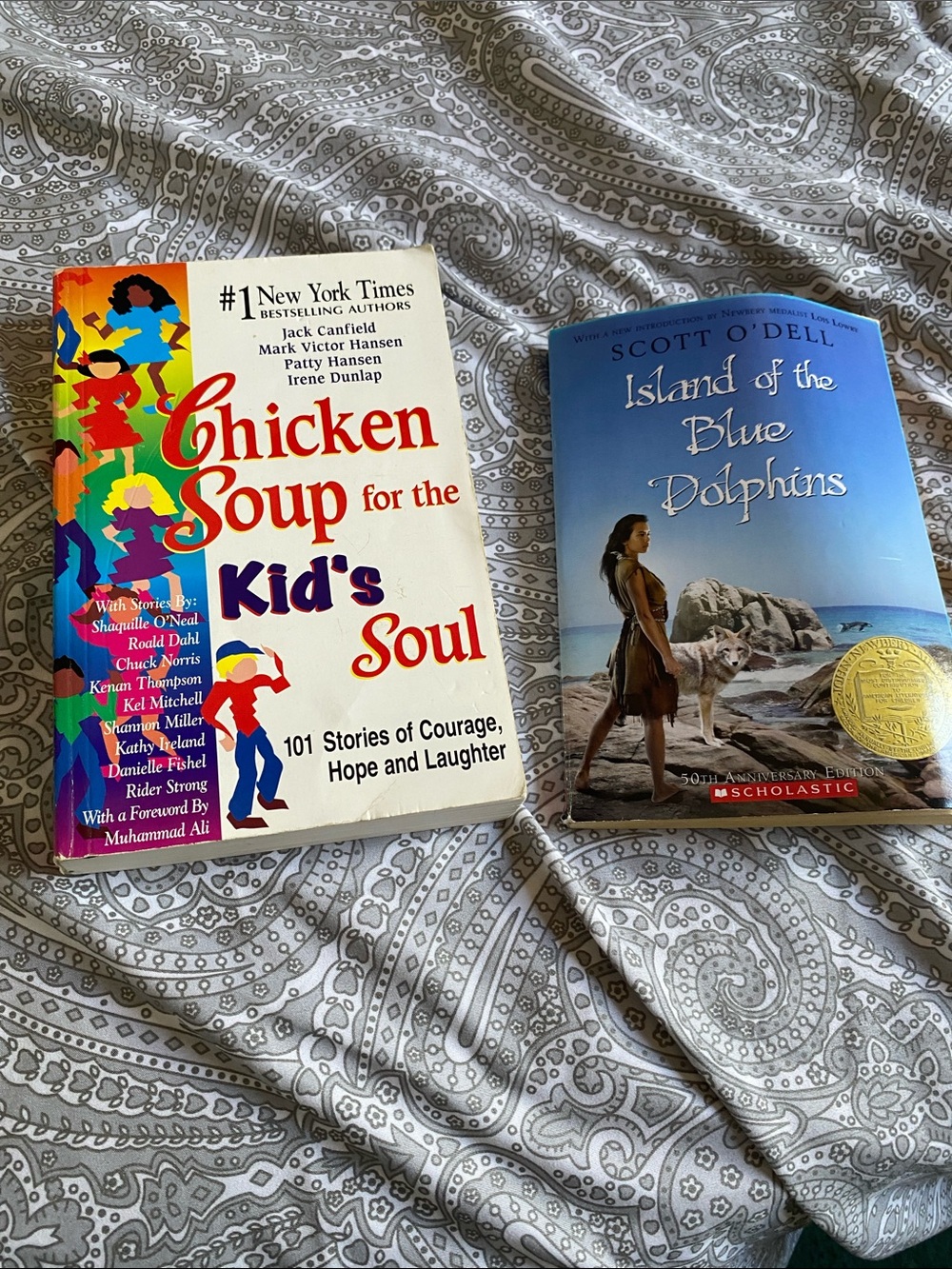 Chicken Soup for the Kid's Soul - White Cover and one more